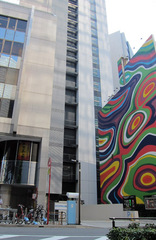 H250811_1B.jpg