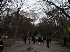 H280227&28_walking02.jpg