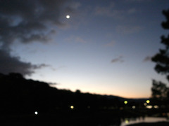 H281027_walking_01.jpg