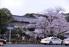 H290408_yomiuri095_koukyo.jpg