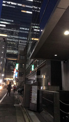 H300329_tyou_02.jpg