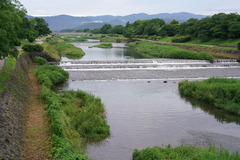 H300624_2_kamo.jpg