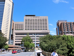H300825_01_ikashika.jpg