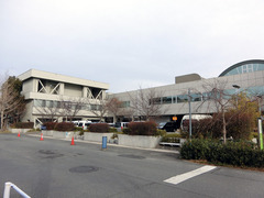 H310126_1.jpg