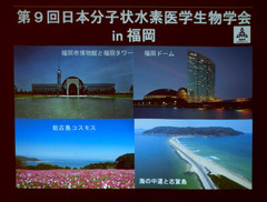R010901_4_photo.jpg