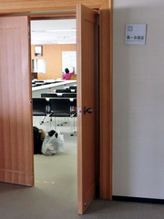 R011117_03.jpg