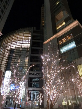 R020131_6_night.jpg