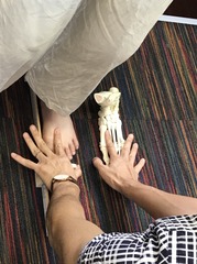 S__77176838.jpg